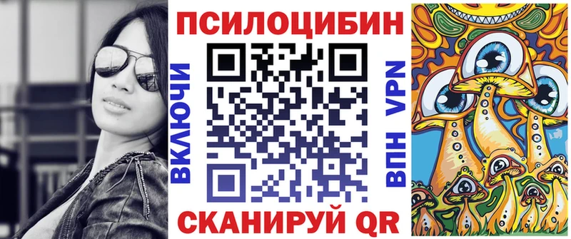 Купить где  Кондрово  Галлюциногенные грибы Psilocybine cubensis 